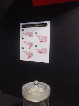 特別展「いきもの超ワールド展　国立科学博物館×ダーウィンが来た！」（国立科学博物館）に投稿された画像（2026/9/6）