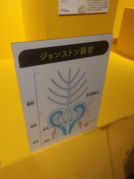 特別展「いきもの超ワールド展　国立科学博物館×ダーウィンが来た！」（国立科学博物館）に投稿された画像（2026/9/6）