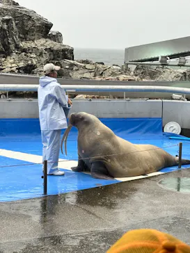 大分マリーンパレス水族館 「うみたまご」に投稿された画像（2026/9/6）