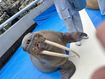 大分マリーンパレス水族館 「うみたまご」に投稿された画像（2026/9/6）