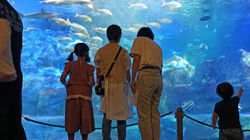 大分マリーンパレス水族館 「うみたまご」に投稿された画像（2026/9/6）