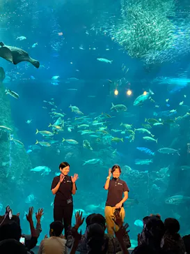 新江ノ島水族館に投稿された画像（2026/9/6）