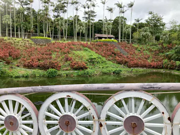 美らヤシパークオキナワ・東南植物楽園に投稿された画像（2026/9/6）