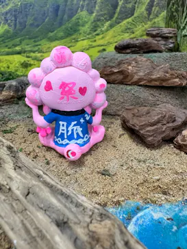 海洋堂ホビーロビー大阪に投稿された画像（2026/9/6）