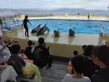 マリンワールド海の中道に投稿された画像（2026/9/6）