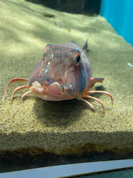 仙台うみの杜水族館に投稿された画像（2026/9/6）