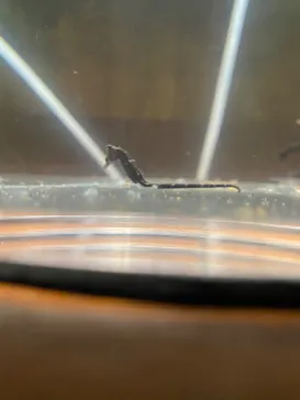 仙台うみの杜水族館に投稿された画像（2026/9/6）