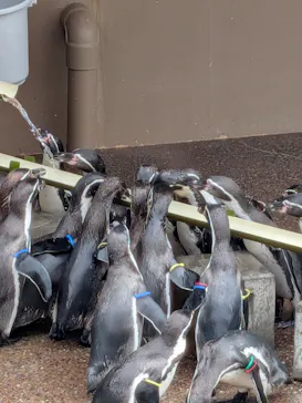 アクアワールド茨城県大洗水族館に投稿された画像（2026/9/7）