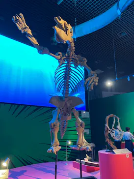 特別展「いきもの超ワールド展　国立科学博物館×ダーウィンが来た！」（国立科学博物館）に投稿された画像（2026/9/7）