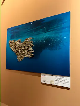 特別展「いきもの超ワールド展　国立科学博物館×ダーウィンが来た！」（国立科学博物館）に投稿された画像（2026/9/7）