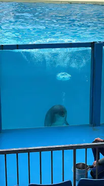 伊豆・三津シーパラダイスに投稿された画像（2026/9/7）