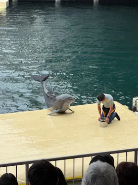 伊豆・三津シーパラダイスに投稿された画像（2026/9/7）
