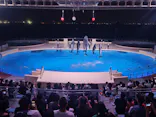 マリンワールド海の中道に投稿された画像（2026/9/7）