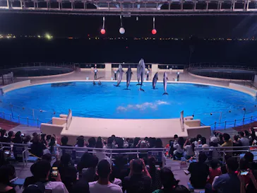 マリンワールド海の中道に投稿された画像（2026/9/7）