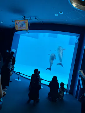 名古屋港水族館に投稿された画像（2026/9/7）