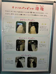 名古屋港水族館に投稿された画像（2026/9/7）