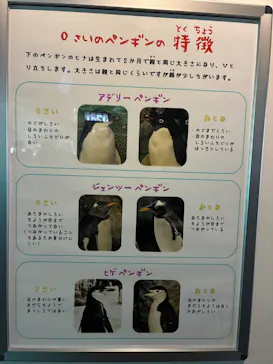 名古屋港水族館に投稿された画像（2026/9/7）