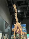 福井県立恐竜博物館に投稿された画像（2026/9/7）
