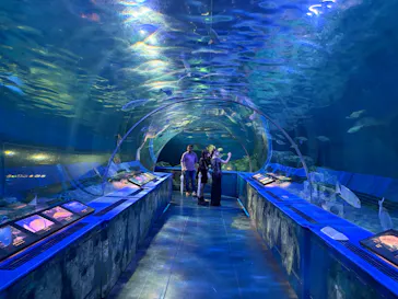 しながわ水族館に投稿された画像（2026/9/7）