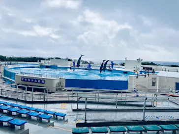 沖縄美ら海水族館に投稿された画像（2026/9/7）