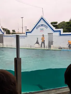 しながわ水族館に投稿された画像（2026/9/7）