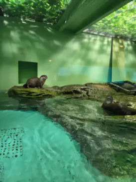 しながわ水族館に投稿された画像（2026/9/7）
