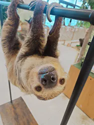 Moff animal world BIGHOPガーデンモール印西店に投稿された画像（2026/9/7）