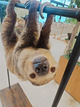 Moff animal world BIGHOPガーデンモール印西店に投稿された画像（2026/9/7）