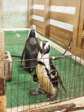 Moff animal world BIGHOPガーデンモール印西店に投稿された画像（2026/9/7）