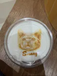 Cat Café MOFF コクーンシティさいたま新都心店に投稿された画像（2026/9/7）