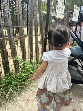 名古屋市東山動植物園に投稿された画像（2026/9/8）