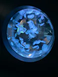 AOAO SAPPOROに投稿された画像（2026/9/8）