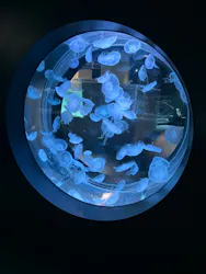 AOAO SAPPOROに投稿された画像（2026/9/8）
