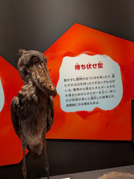 特別展「いきもの超ワールド展　国立科学博物館×ダーウィンが来た！」（国立科学博物館）に投稿された画像（2026/9/8）