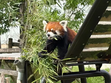 名古屋市東山動植物園に投稿された画像（2026/9/8）