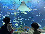 サンシャイン水族館に投稿された画像（2026/9/8）