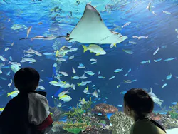 サンシャイン水族館に投稿された画像（2026/9/8）