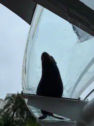 サンシャイン水族館に投稿された画像（2026/9/8）