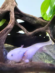 サンシャイン水族館に投稿された画像（2026/9/8）