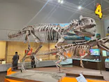 特別展　大絶滅展に投稿された画像（2026/9/8）