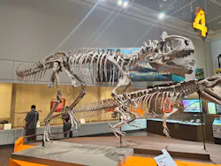 特別展　大絶滅展に投稿された画像（2026/9/8）