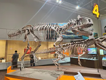 特別展　大絶滅展に投稿された画像（2026/9/8）