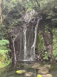 箱根湯本温泉 天成園に投稿された画像（2026/9/8）