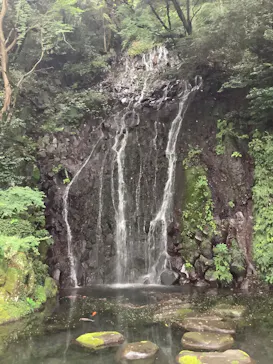箱根湯本温泉 天成園に投稿された画像（2026/9/8）