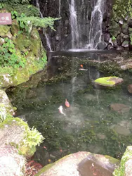 箱根湯本温泉 天成園に投稿された画像（2026/9/8）