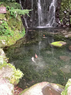 箱根湯本温泉 天成園に投稿された画像（2026/9/8）