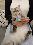 猫カフェモカ イオンモール神戸北店に投稿された画像（2026/9/8）
