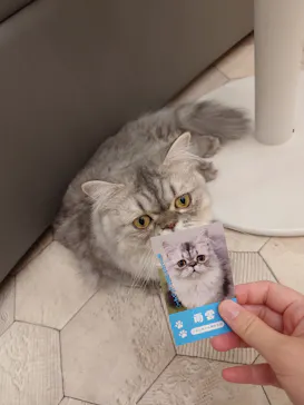 猫カフェモカ イオンモール神戸北店に投稿された画像（2026/9/8）