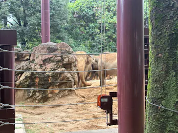 恩賜上野動物園に投稿された画像（2026/9/8）