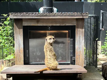 恩賜上野動物園に投稿された画像（2026/9/8）